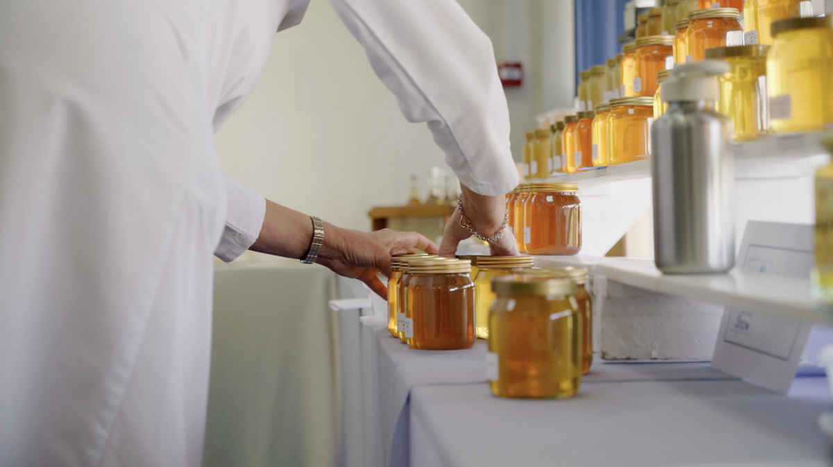 Judging honey at a county show