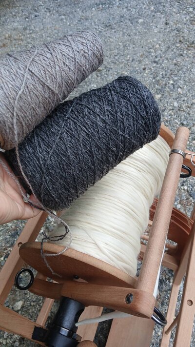 Blanket view 5