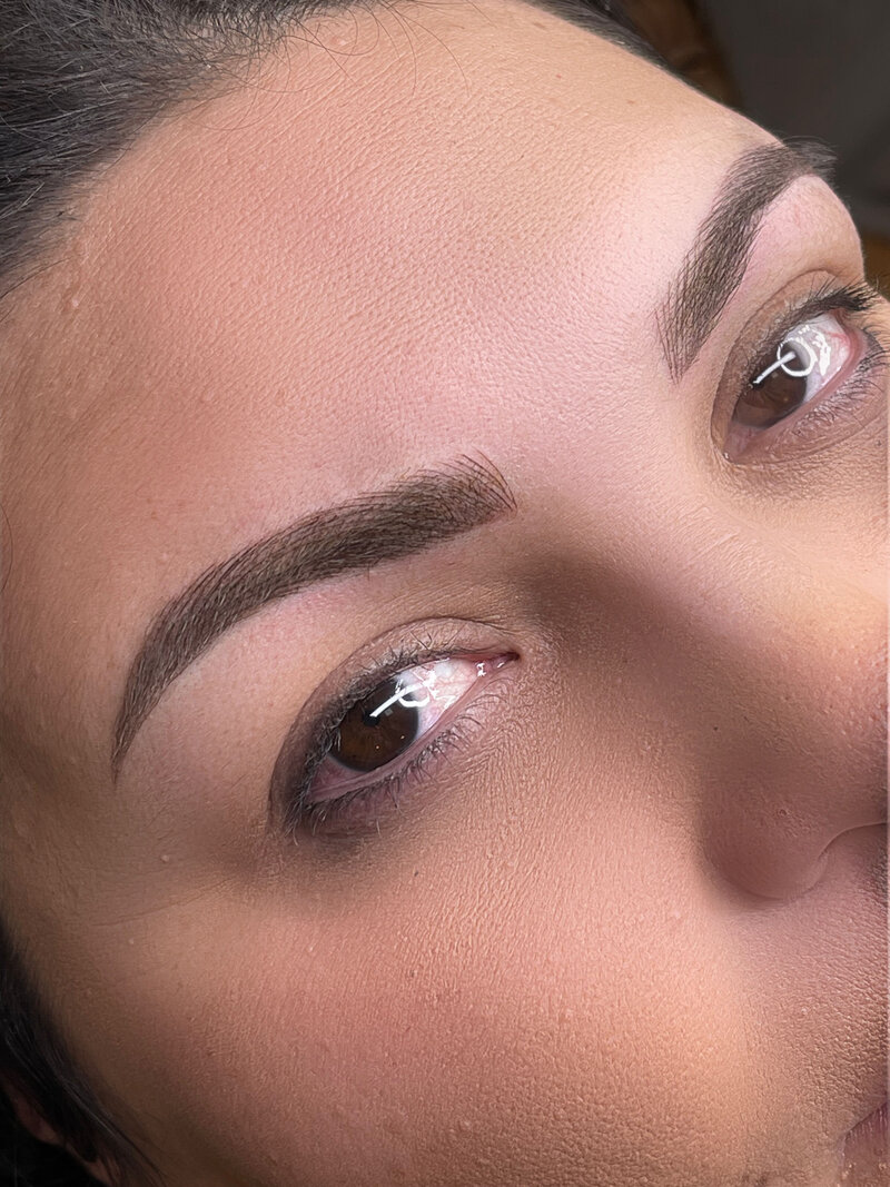 The House Of Shelby | Microblading, Permanent Makeup, And Eyelash Extension Training