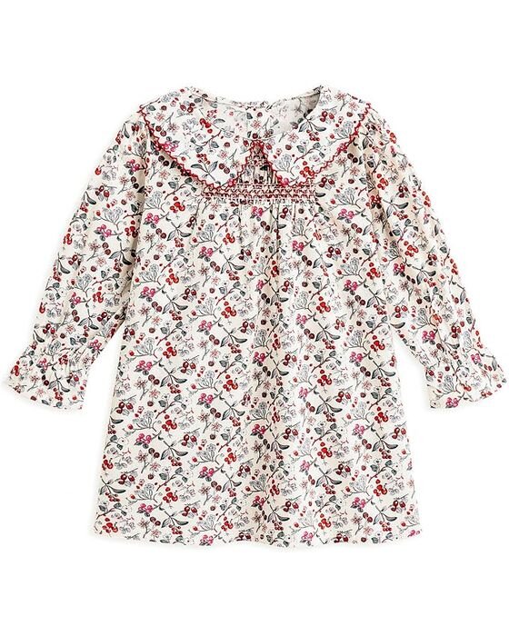 Red Ditsy Floral Collared Dress — Young Girls fall family photo outfit idea