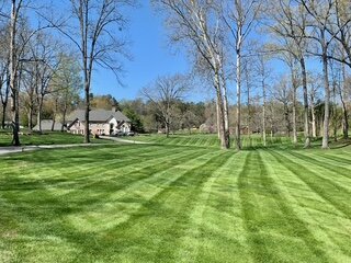 Freshly maintained lawn by M&M Mowing Services