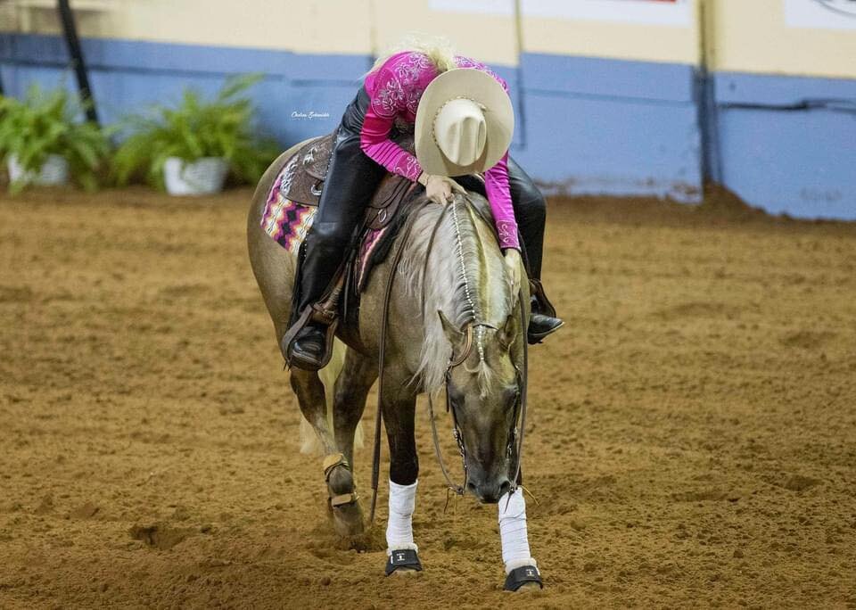 RMJ Ranch horse