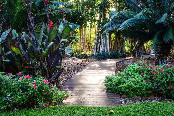 Marie Selby Botanical Gardens as a fun elopement spot in Florida for couples
