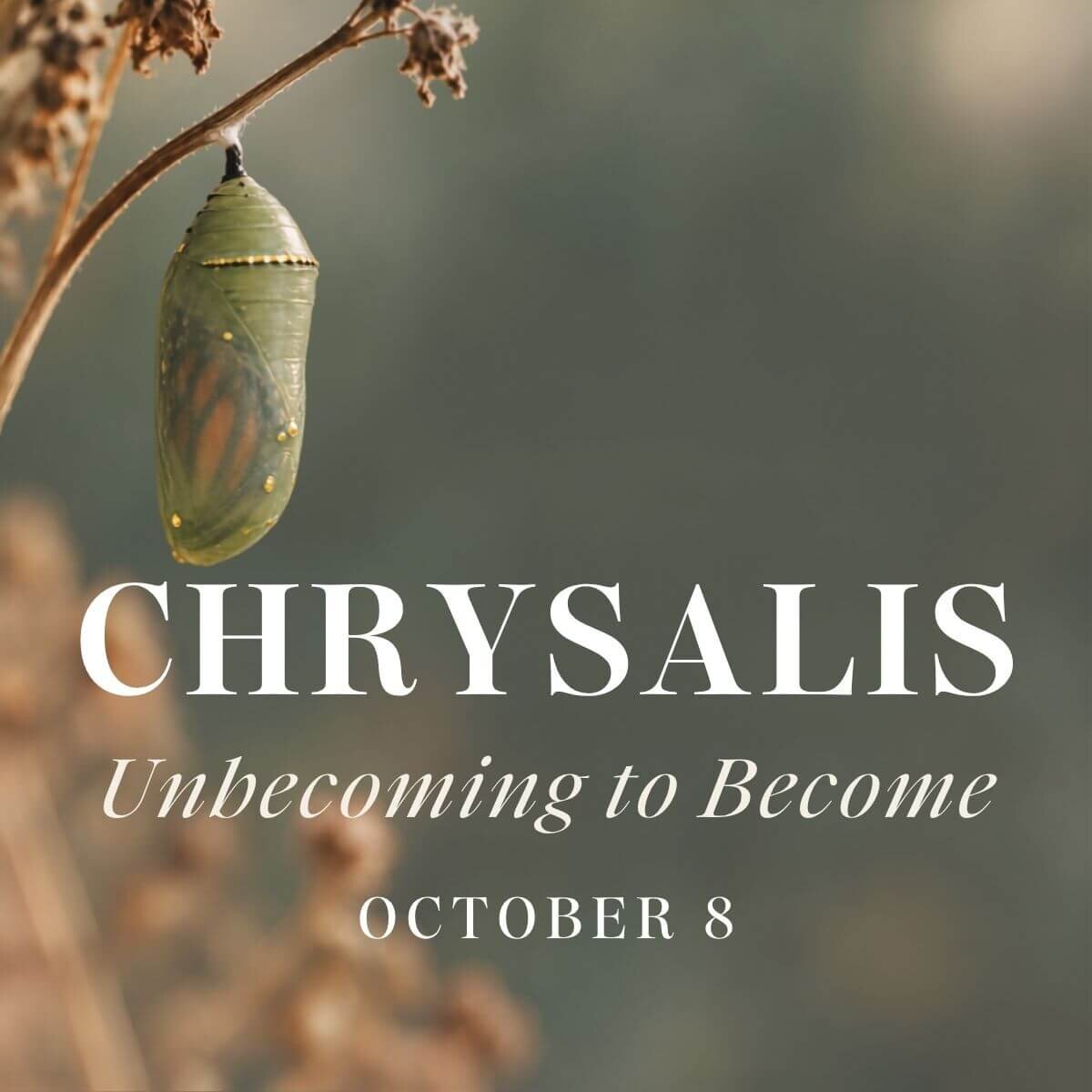 Chrysalis, Unbecoming to Become, a live storytelling workshop for women navigating midlife change on October 8
