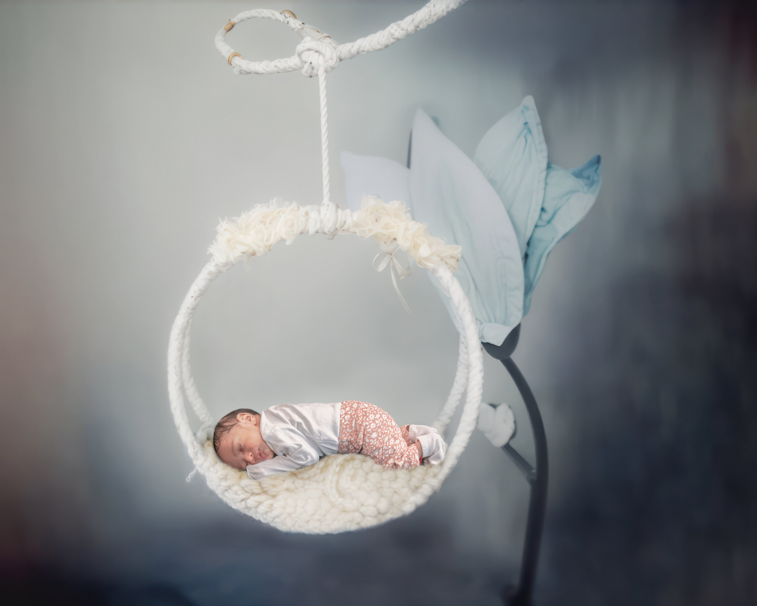 Newborn studio portrait on a blue background