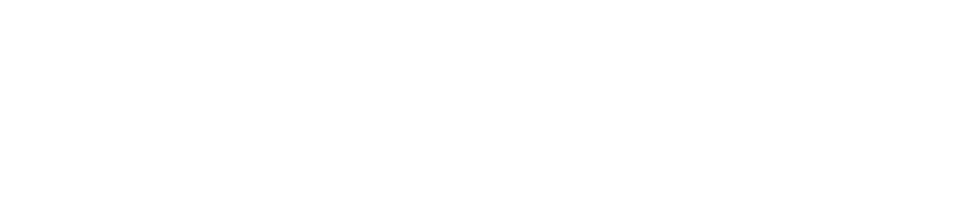 Narcissistic Abuse Recovery Program