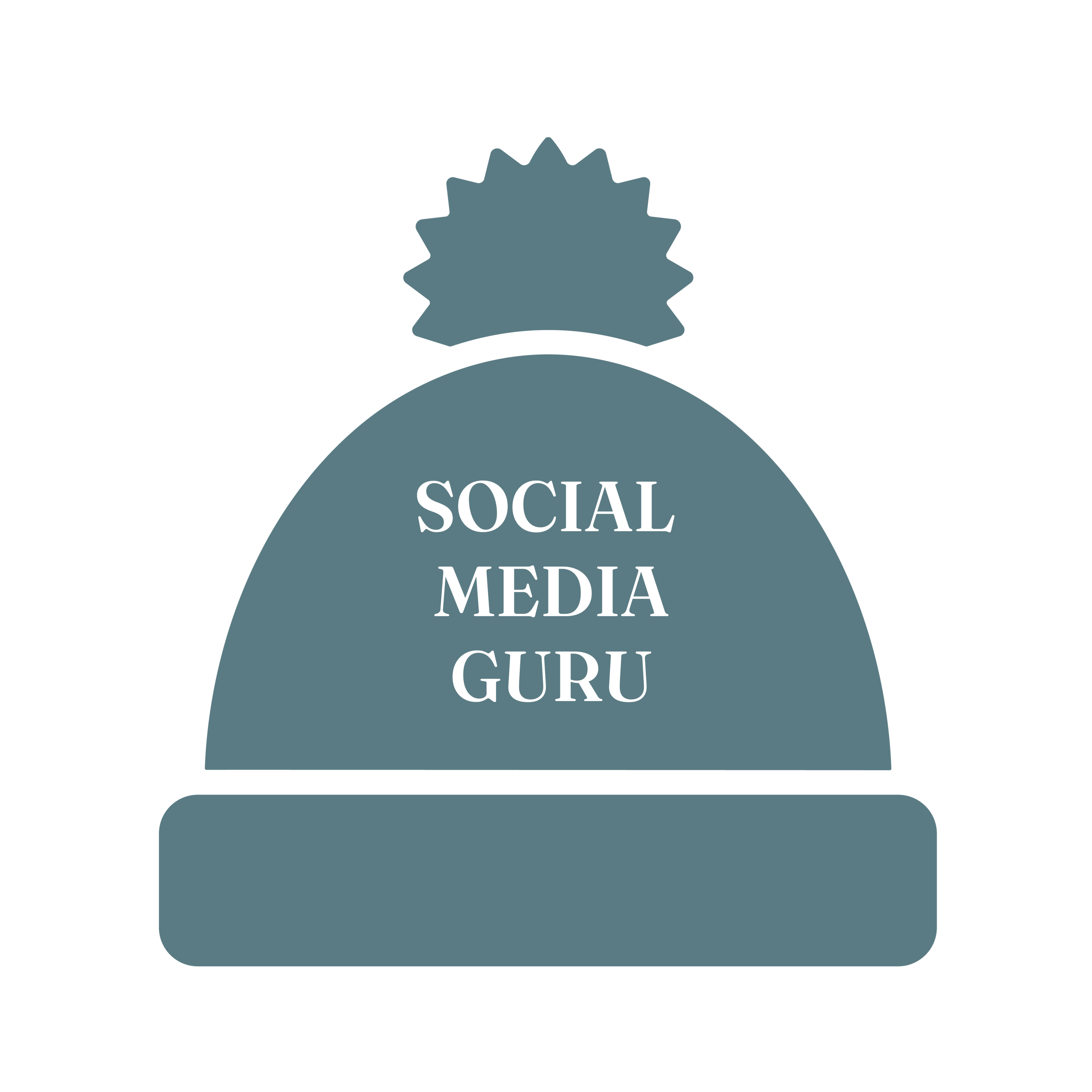 Beanie that says Social Media Guru