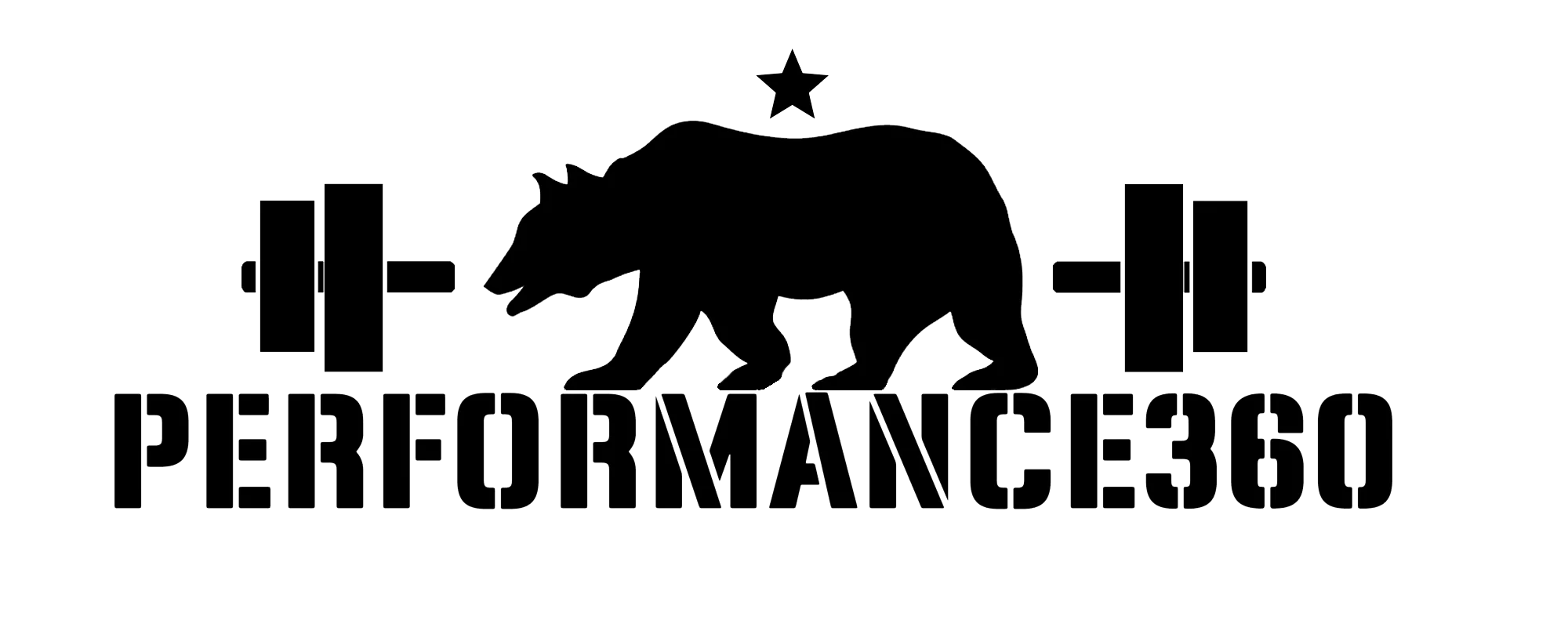P360_logo