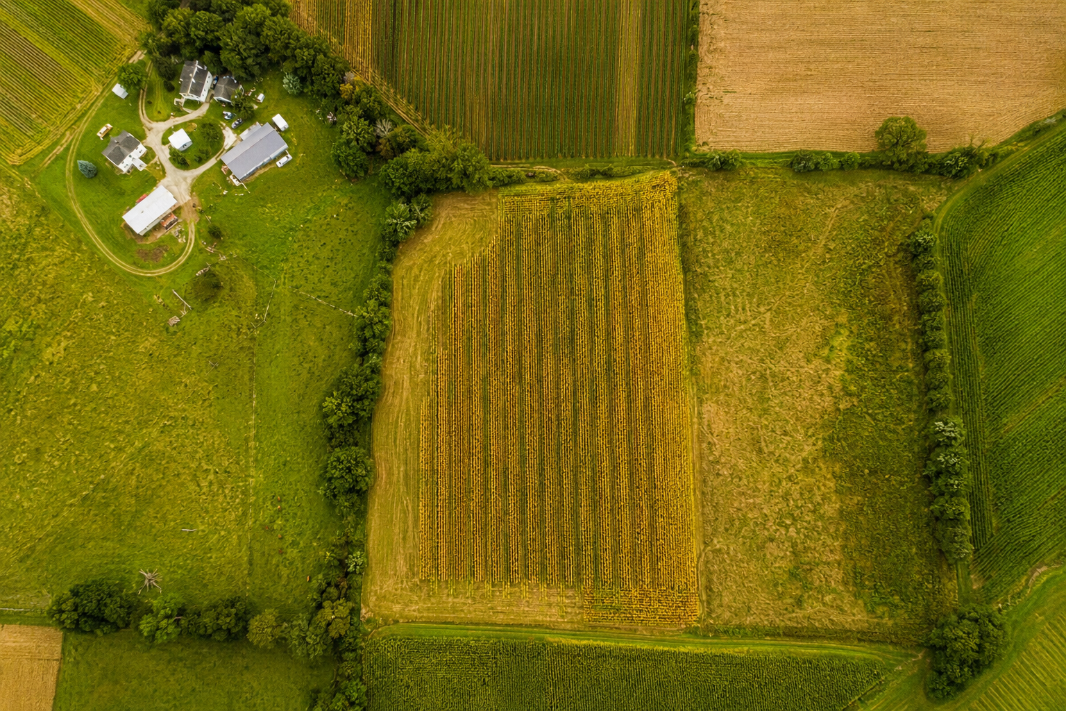Farm and Field Mapping