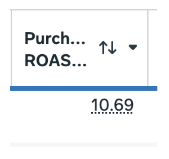 Screenshot proof — 10 ROAS