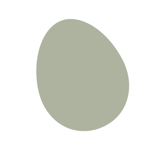 Custom Cursor