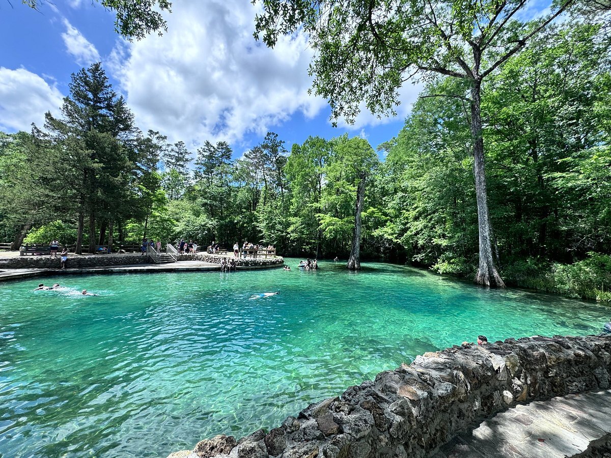 Florida springs as a hidden elopement spot