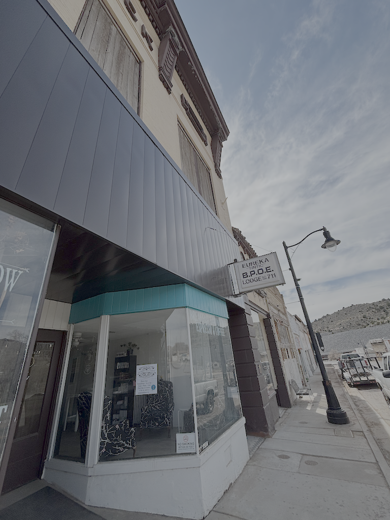 flush wall metal siding residential in mona utah