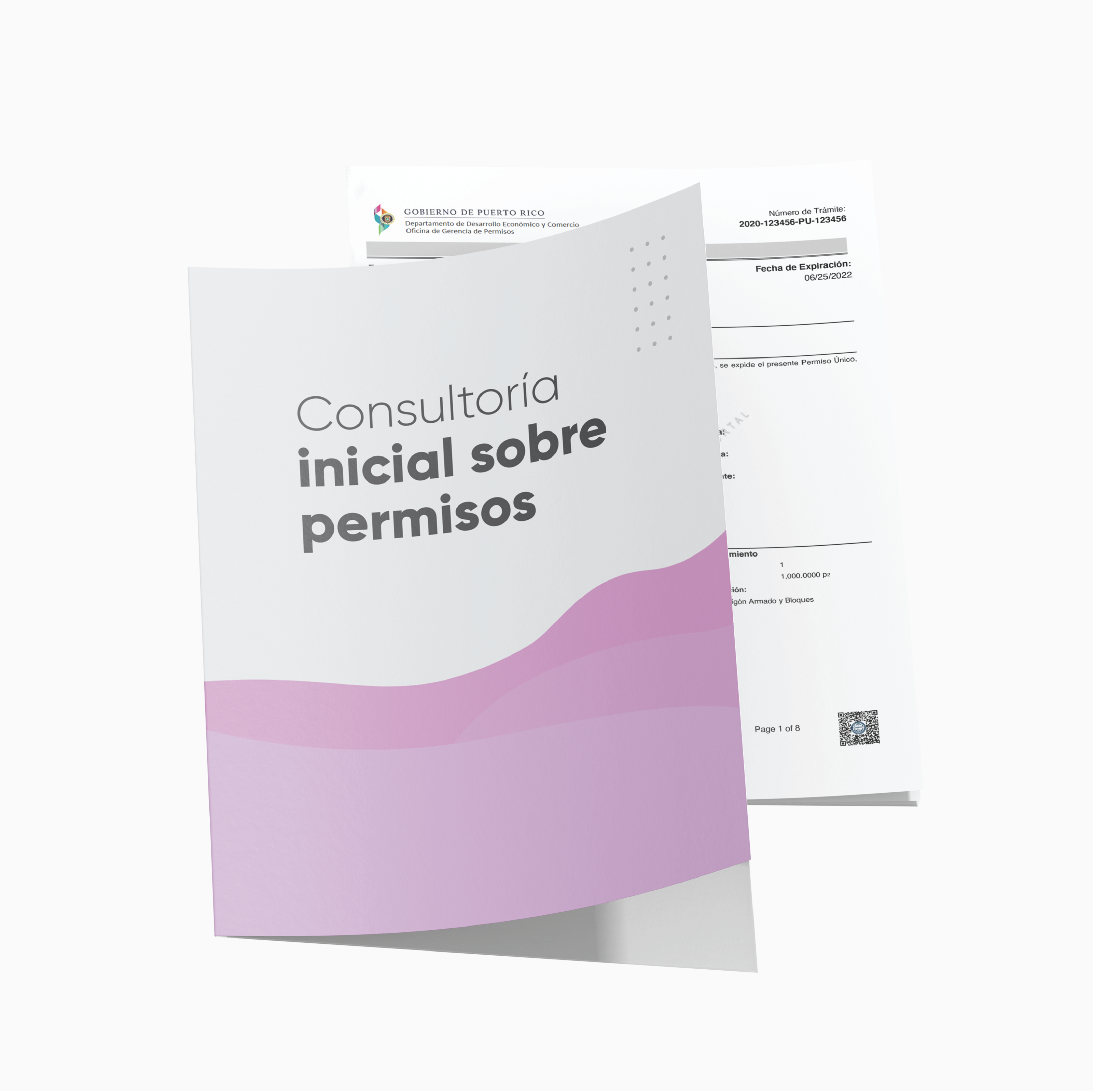 Consulta Inicial
