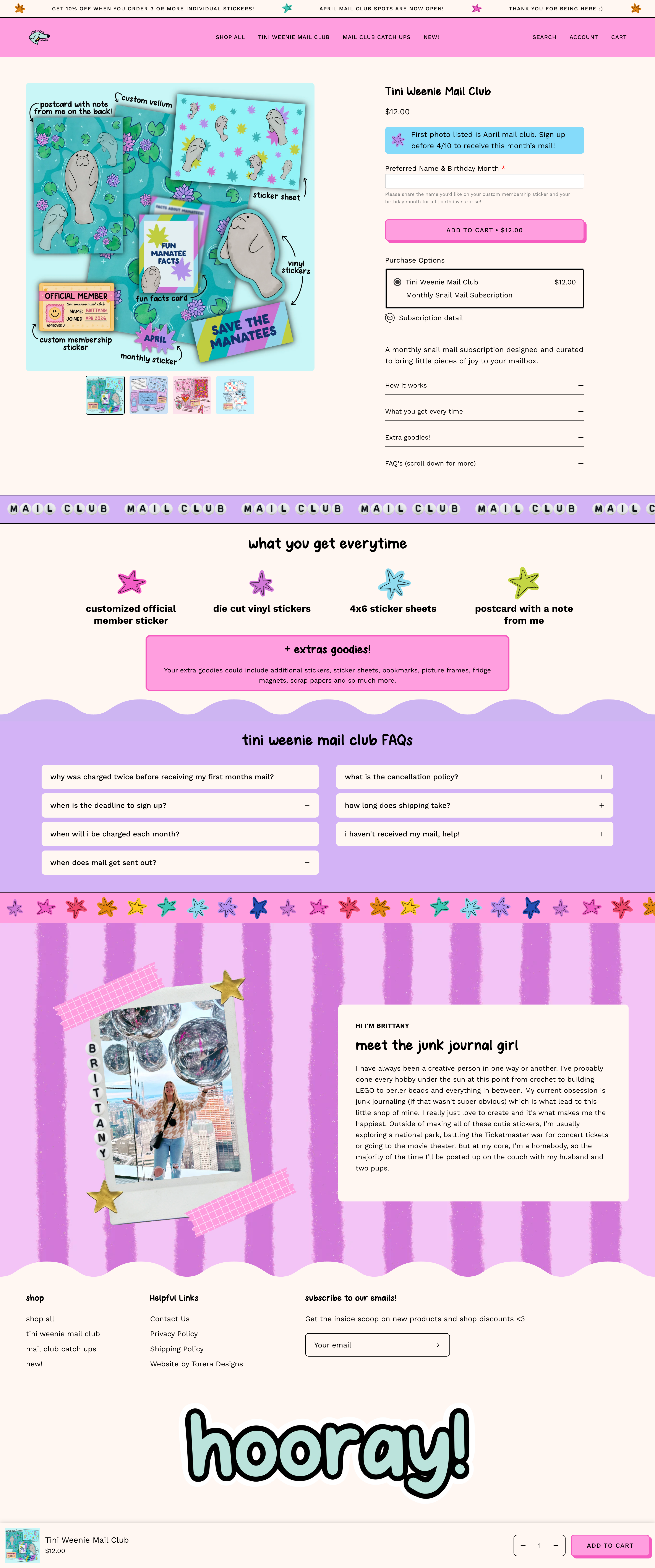 Website screenshot2