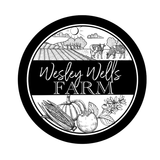 Wesley Wells Farm Pumpkin Festival and Handmade Market