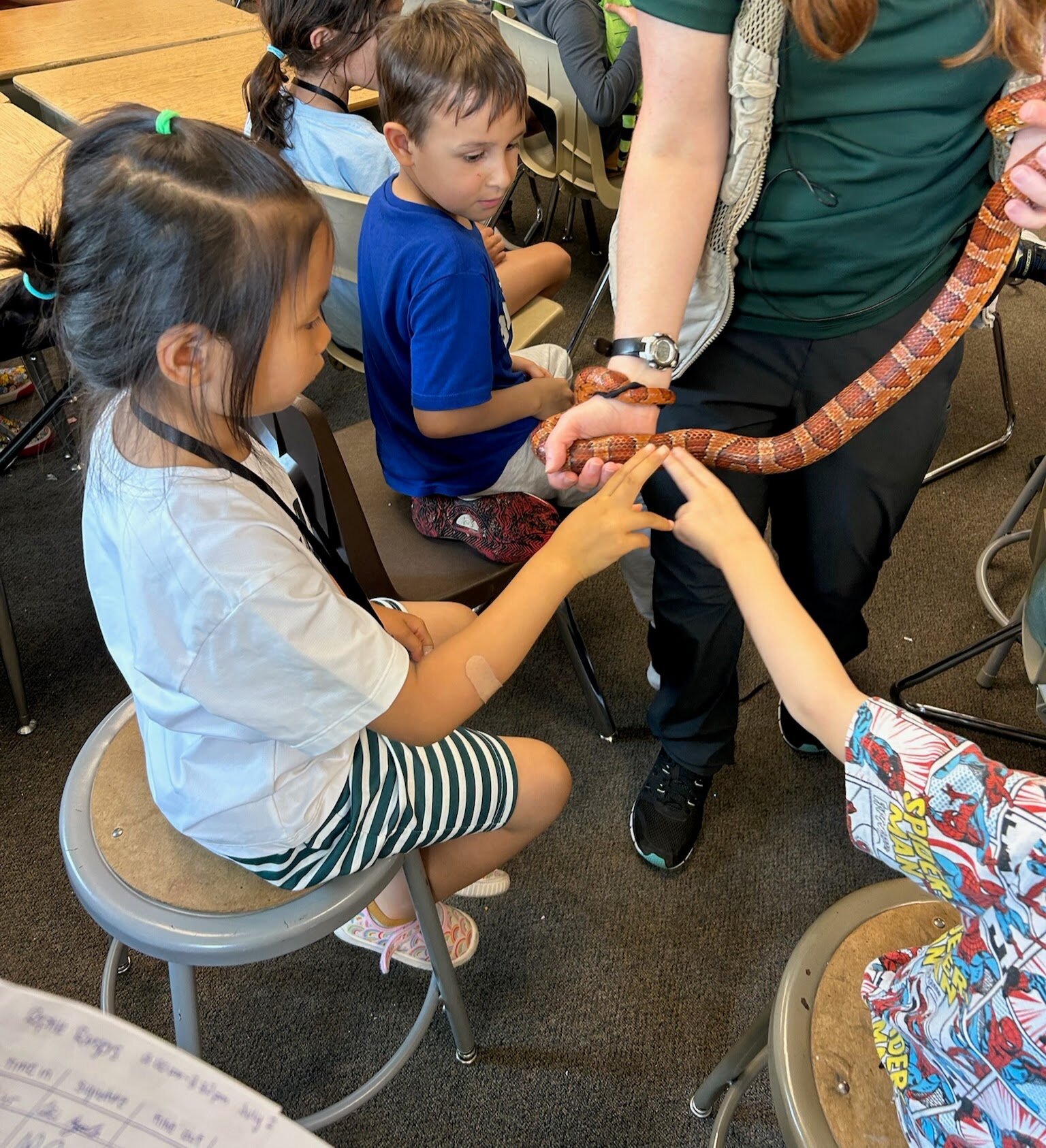 Reptile Rangers camper with a reptile encounter