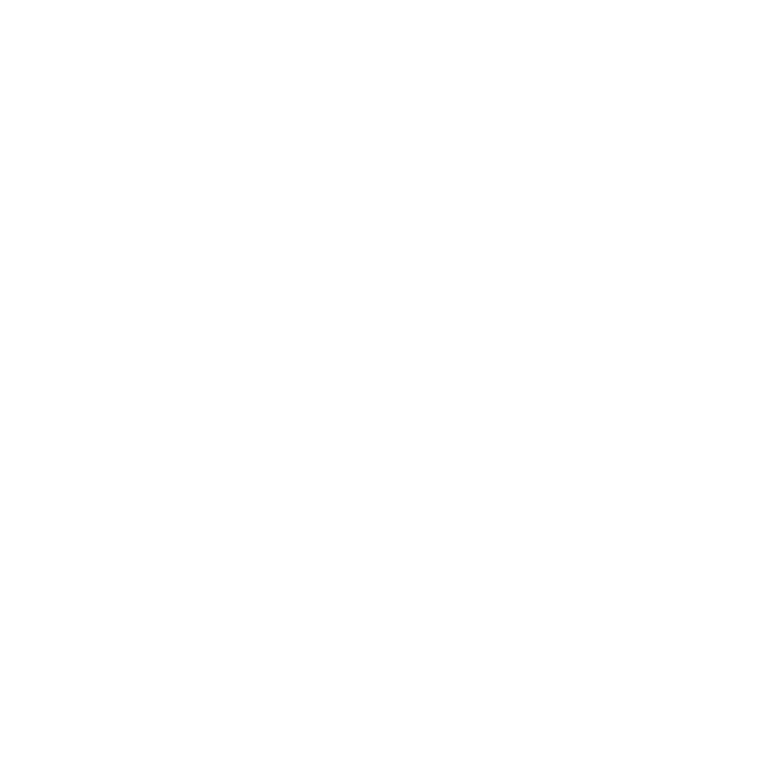 Viceroy Hotels