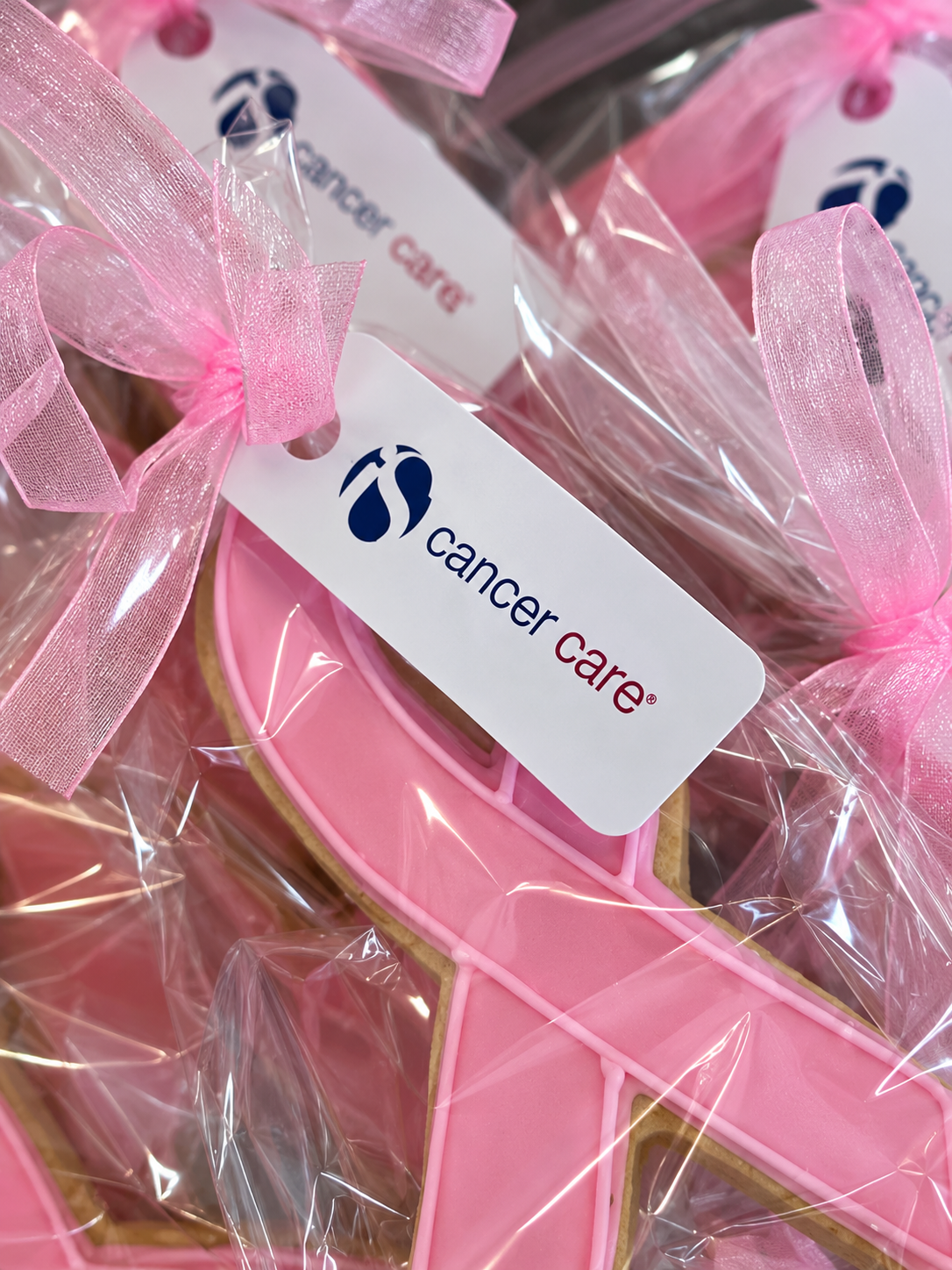 Pink With Purpose Cancer Care initiative