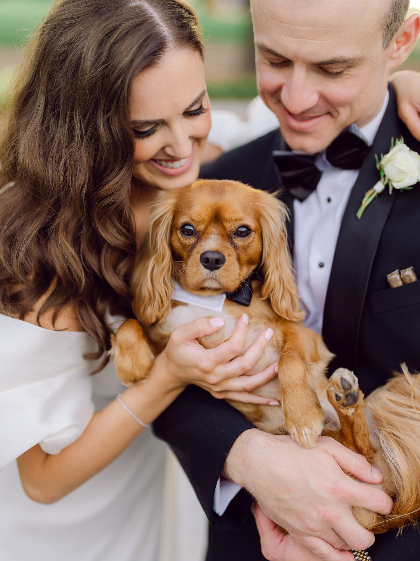Bride and groom holding their dog during a Pawleys Island wedding portrait