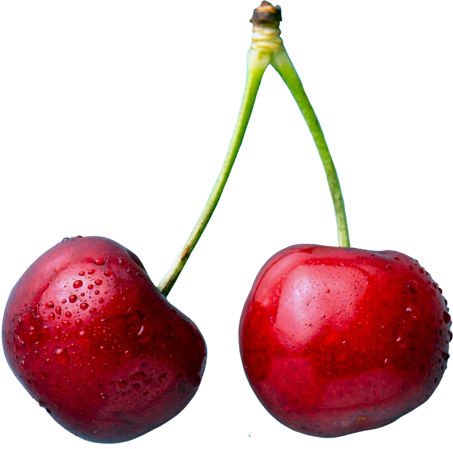 candy-heart-say-yes-for-showit-one-page-website-cherry-guapa-studios-joyce