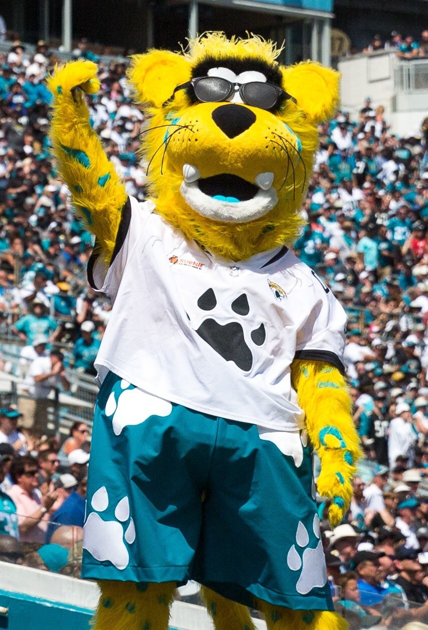Jacksonville Jaguars Open Minicamp Practice