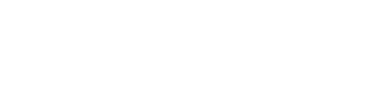 Feastables