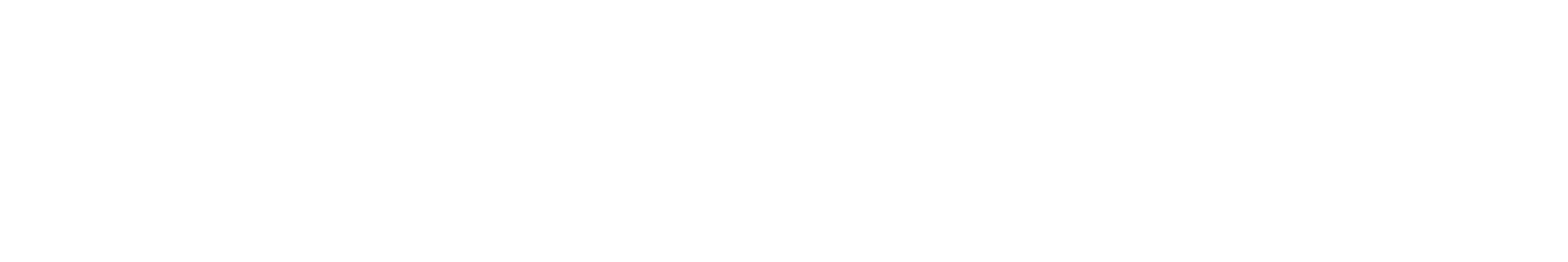 Bumpsuit Logo