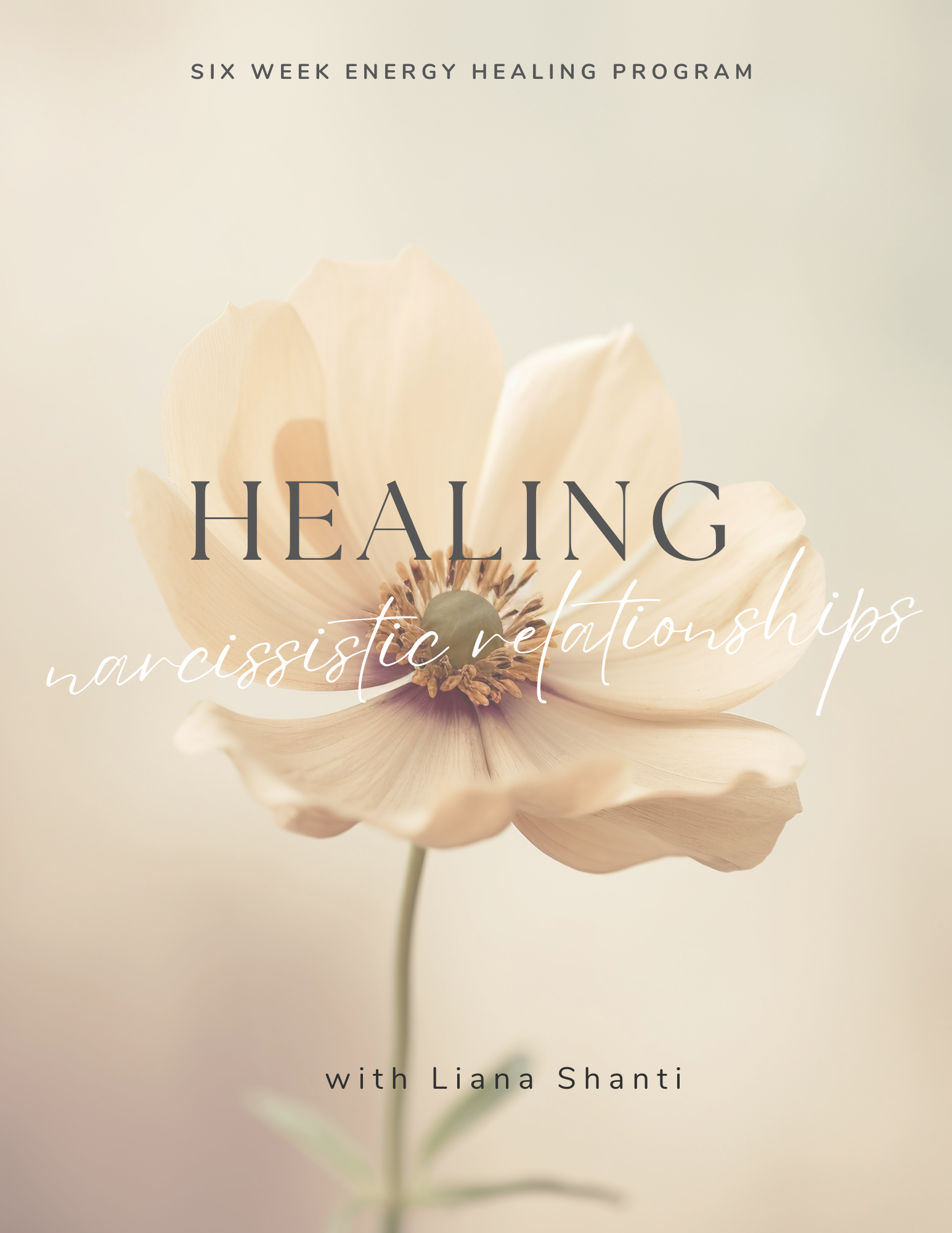 Healing from Narcissistic Relationships