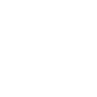 Logo Title 12