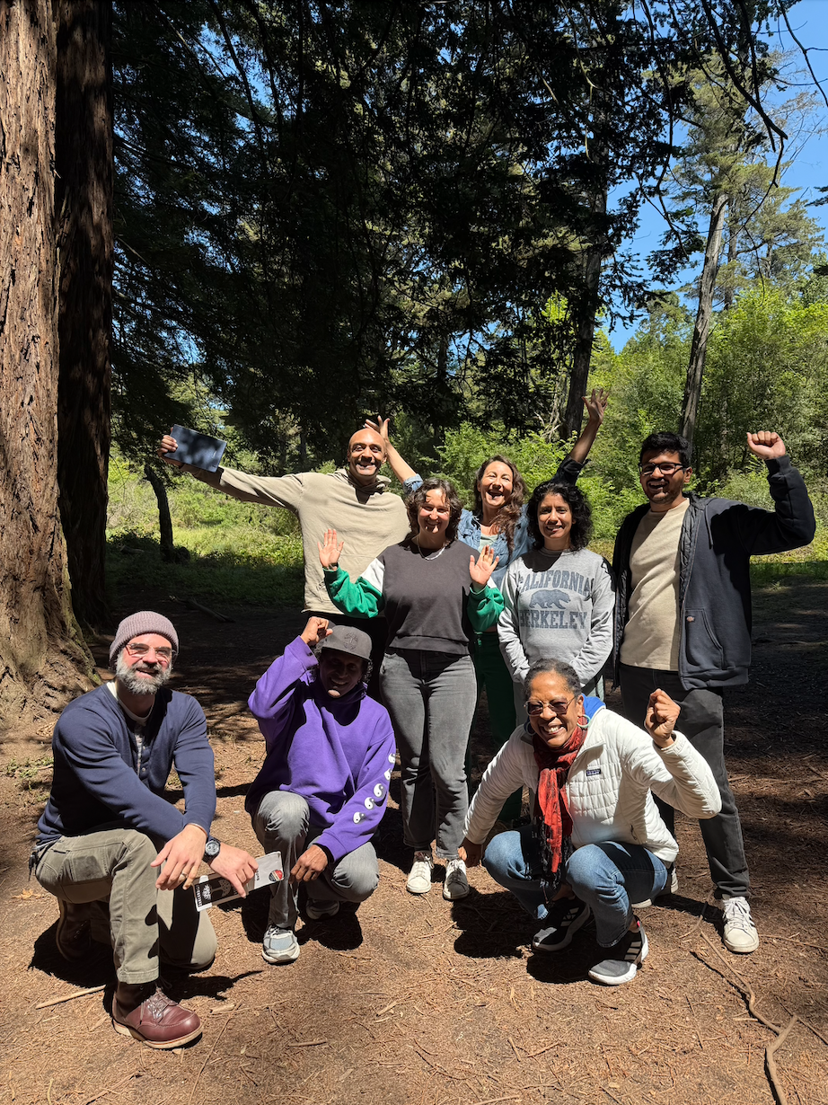 The team celebrating together in the redwoods during a strategy and team-building session