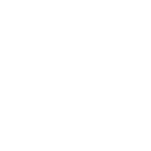 Basics & Beyond Wellness