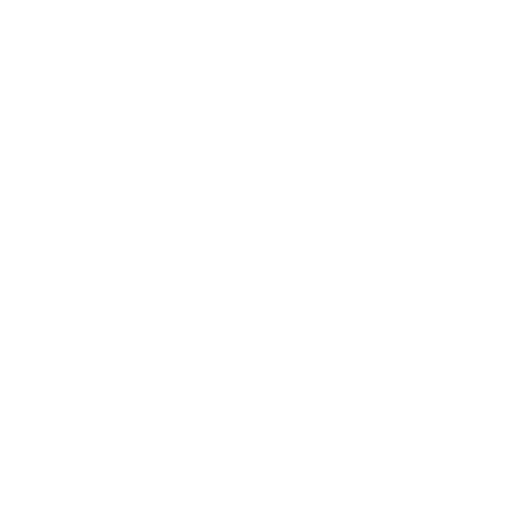 Fearless Photographers