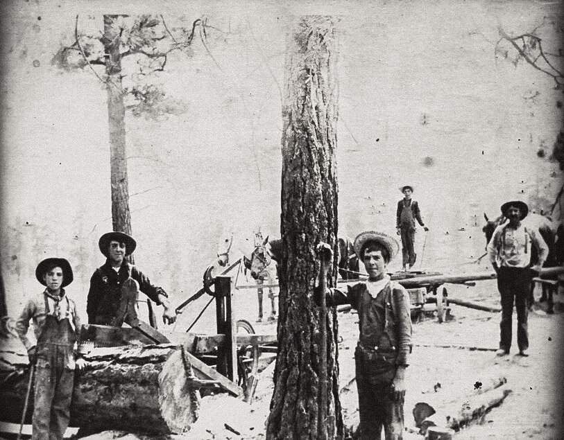 Historic Shiflett family timber photograph from 1907