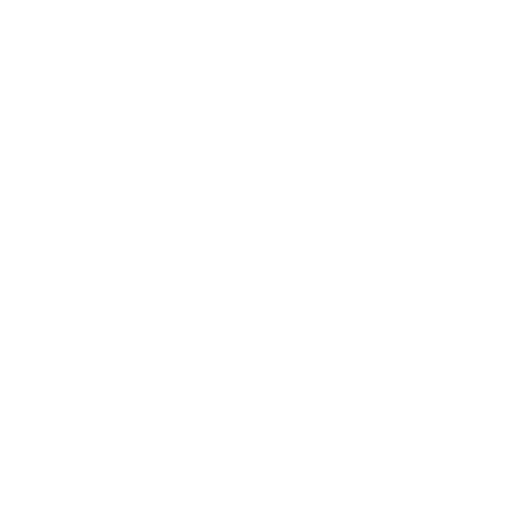 Four Seasons Preferred Partner