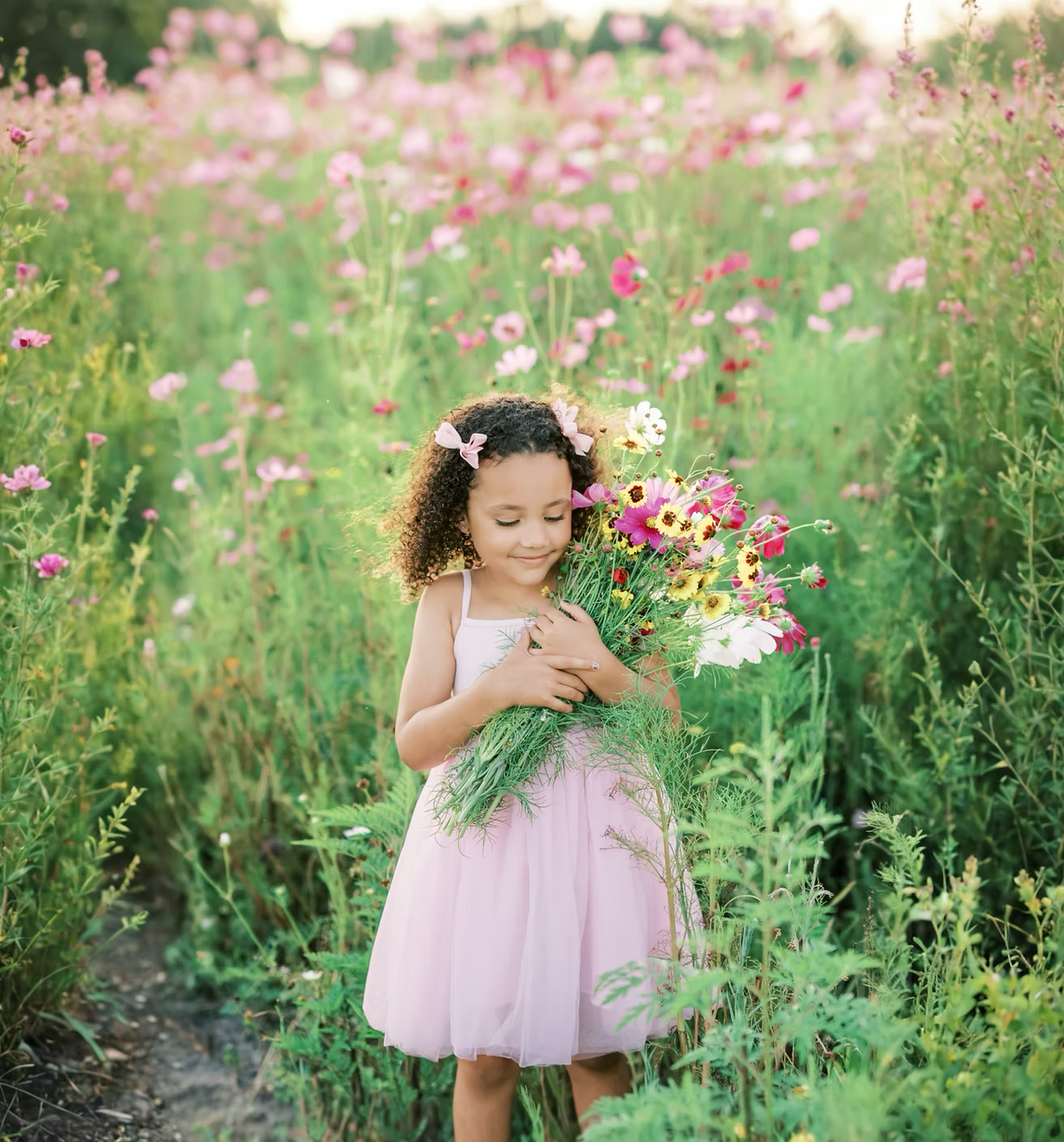 Parker Flower Farms Fall In Bloom