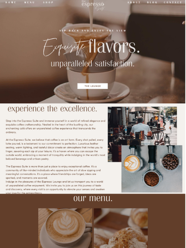Custom Shopify website portfolio project