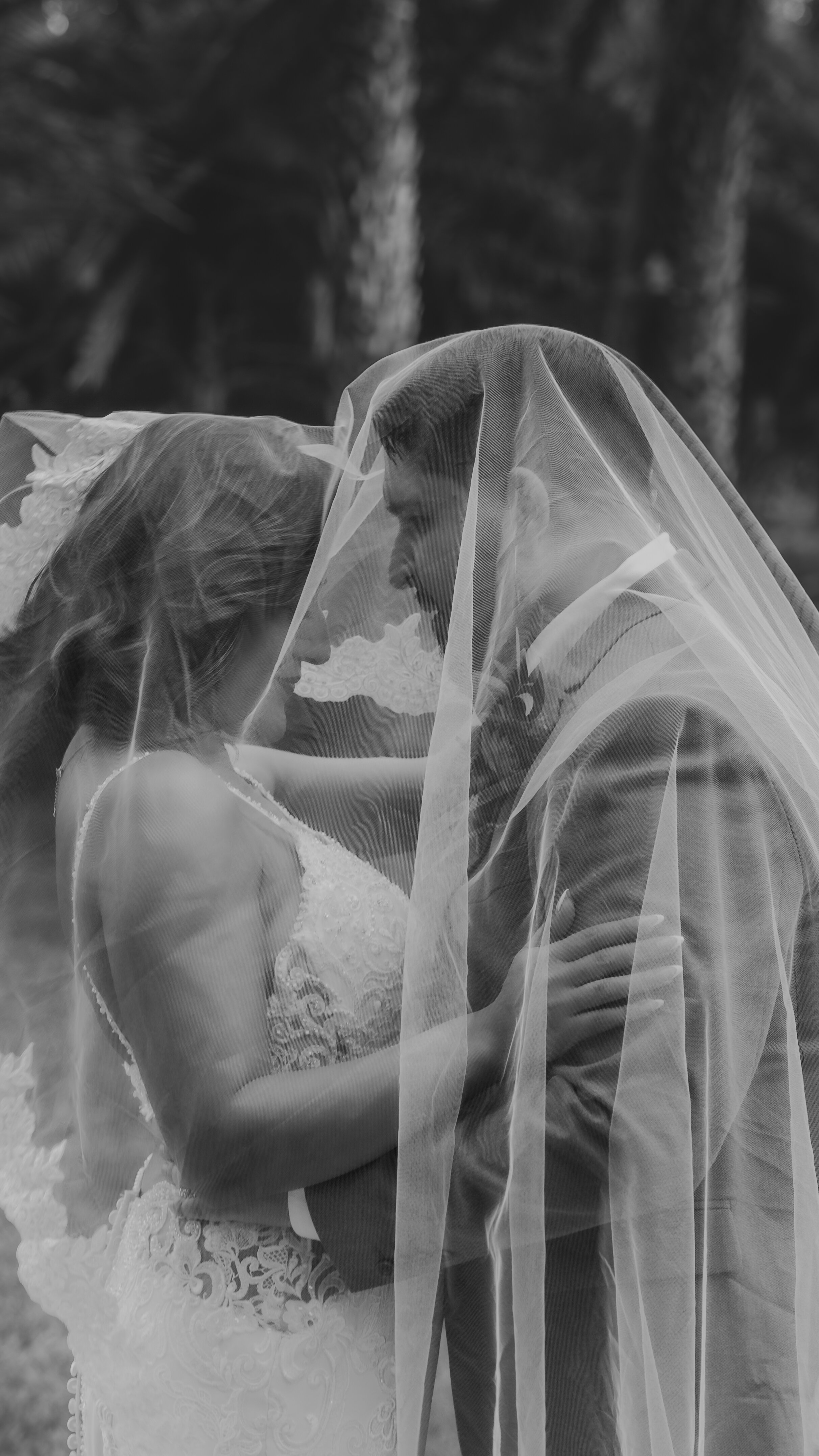 first dance under string lights