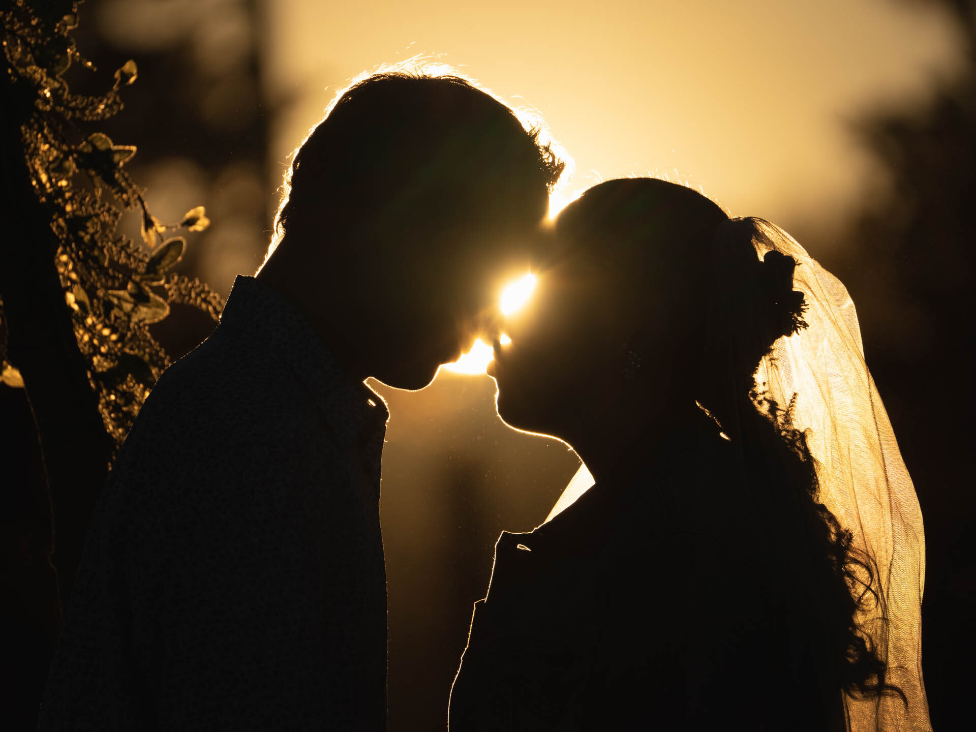 Wedding silhouette at sunset