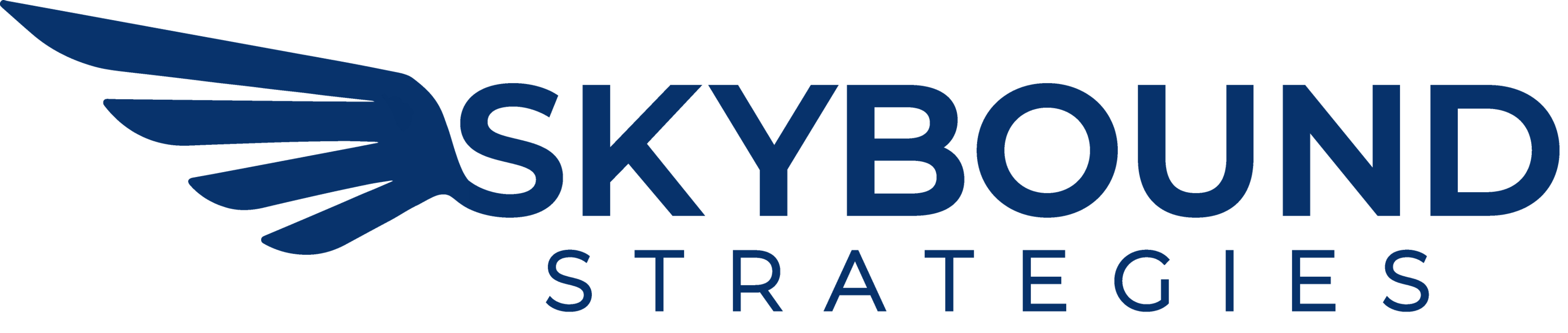 SkyBound Strategies