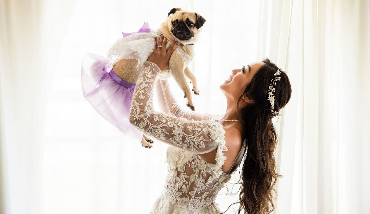 Bride holding her pug dressed for the wedding