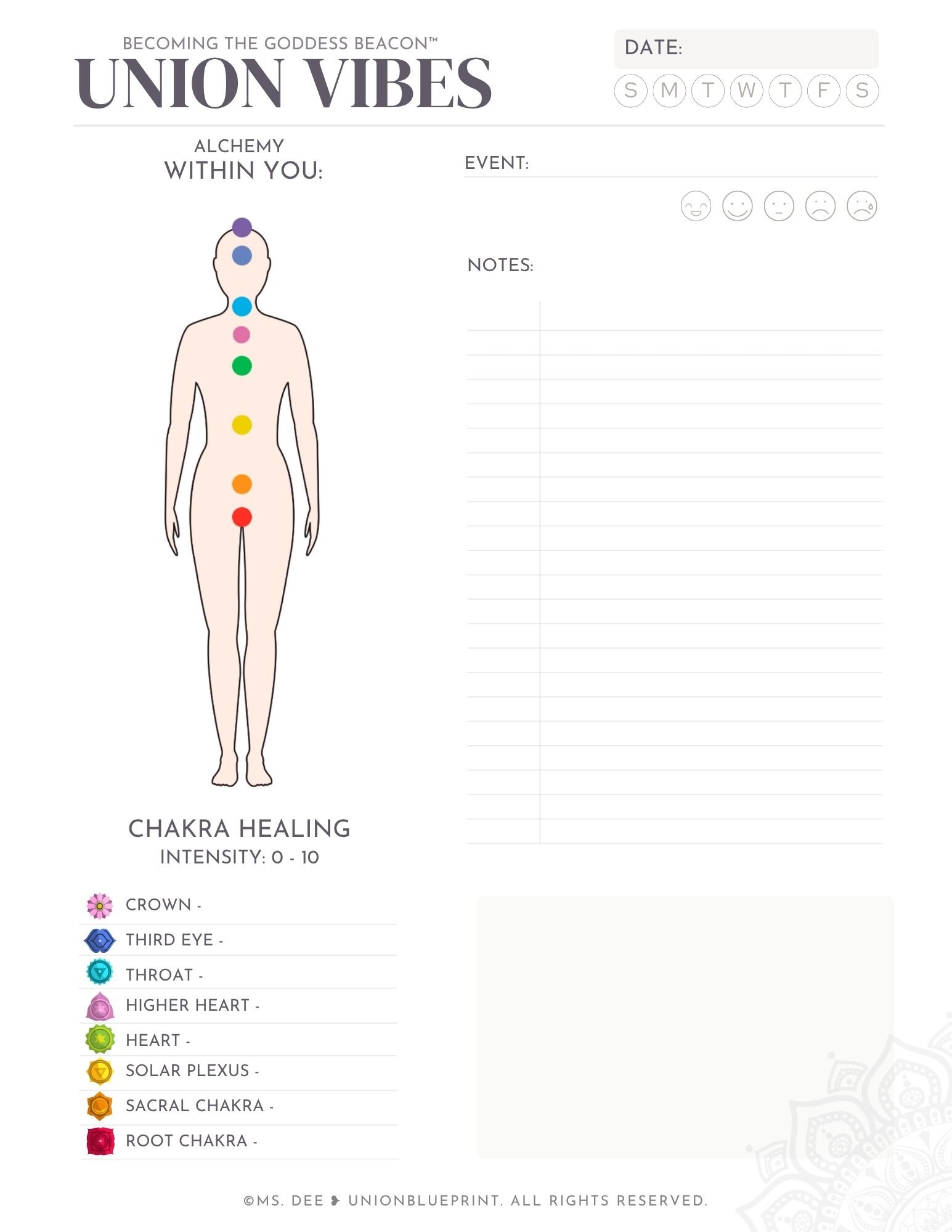 Feminine Chakra Scan