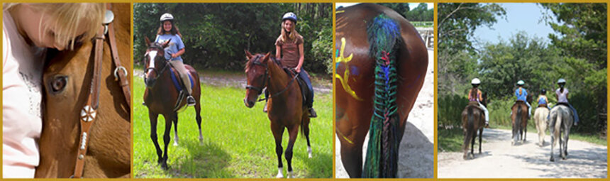 Florida Agricultural Museum Summer Horse Camps