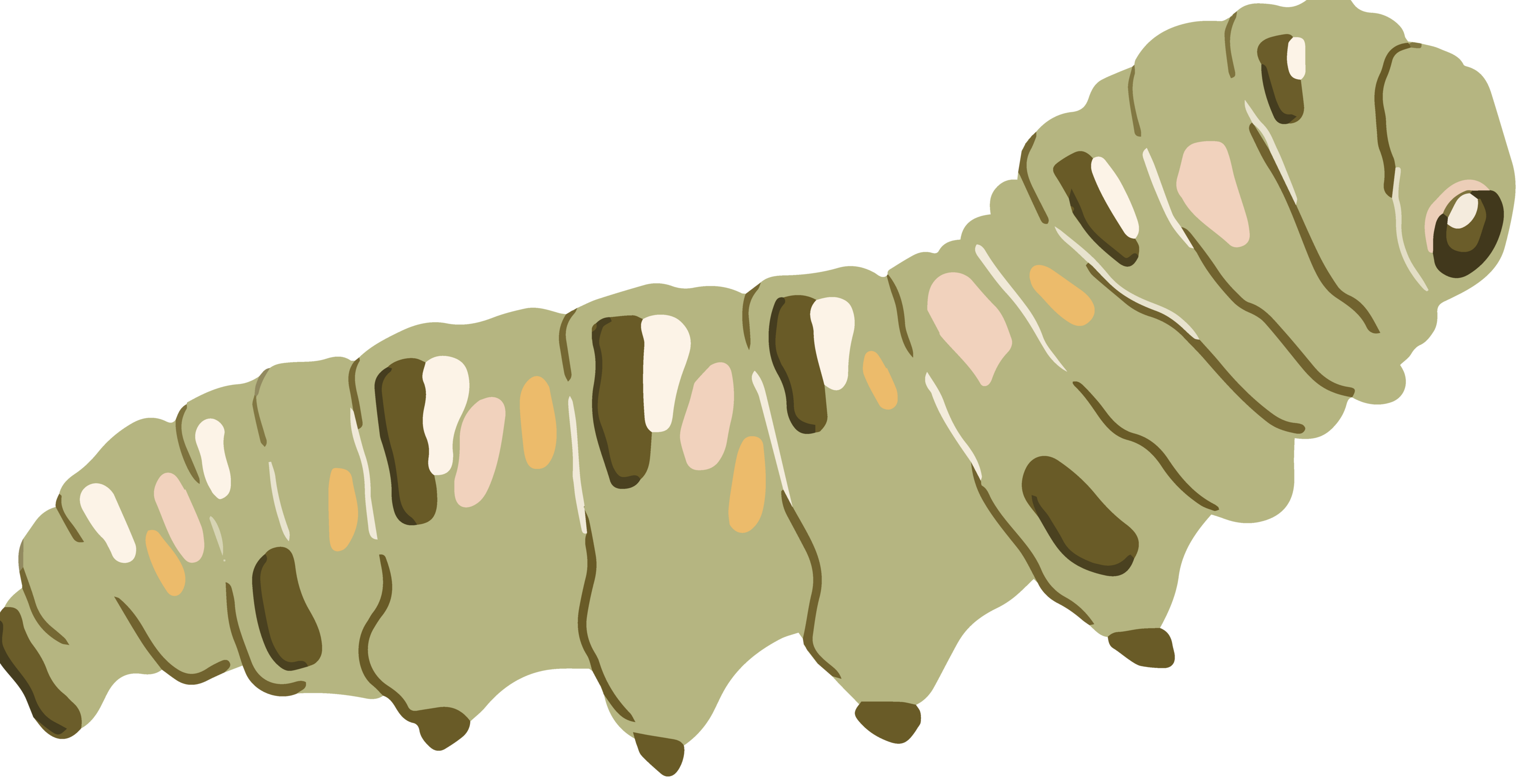 Wiggly Image