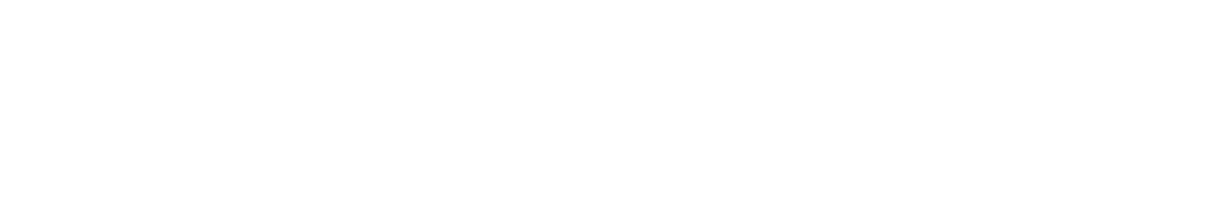 University of South Florida