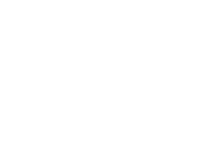Logo Title 11