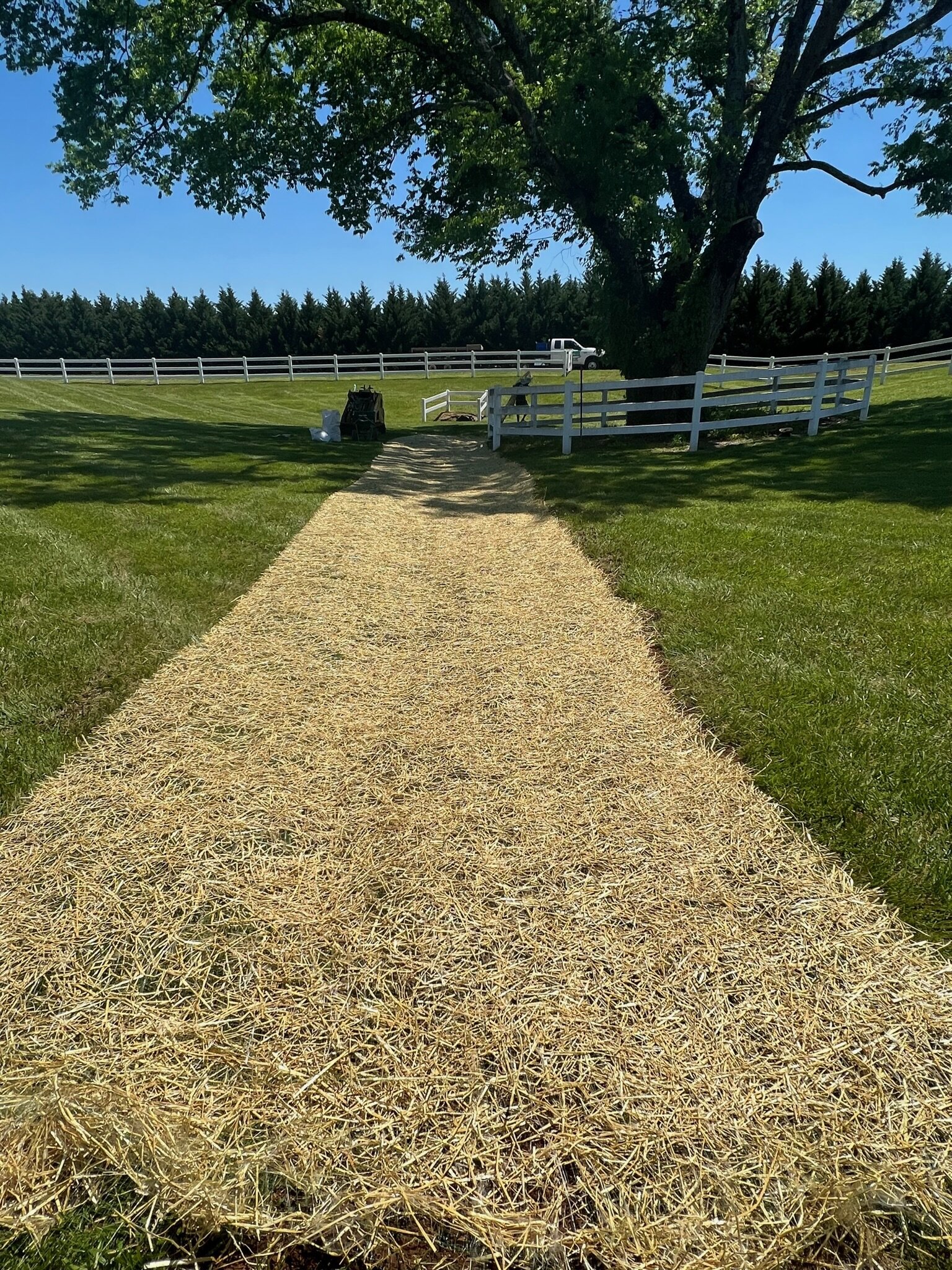 Freshly maintained lawn by M&M Mowing Services