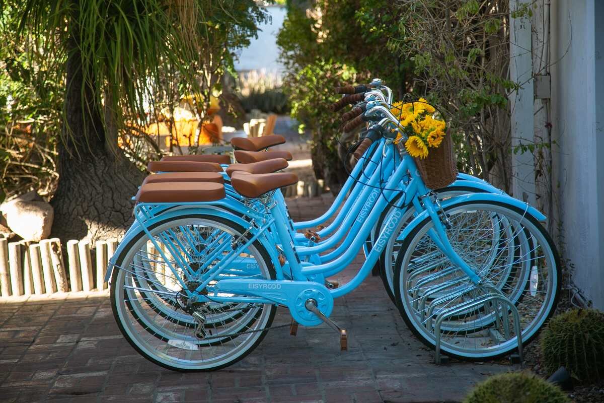 Blue cruiser bikes with sunflower baskets