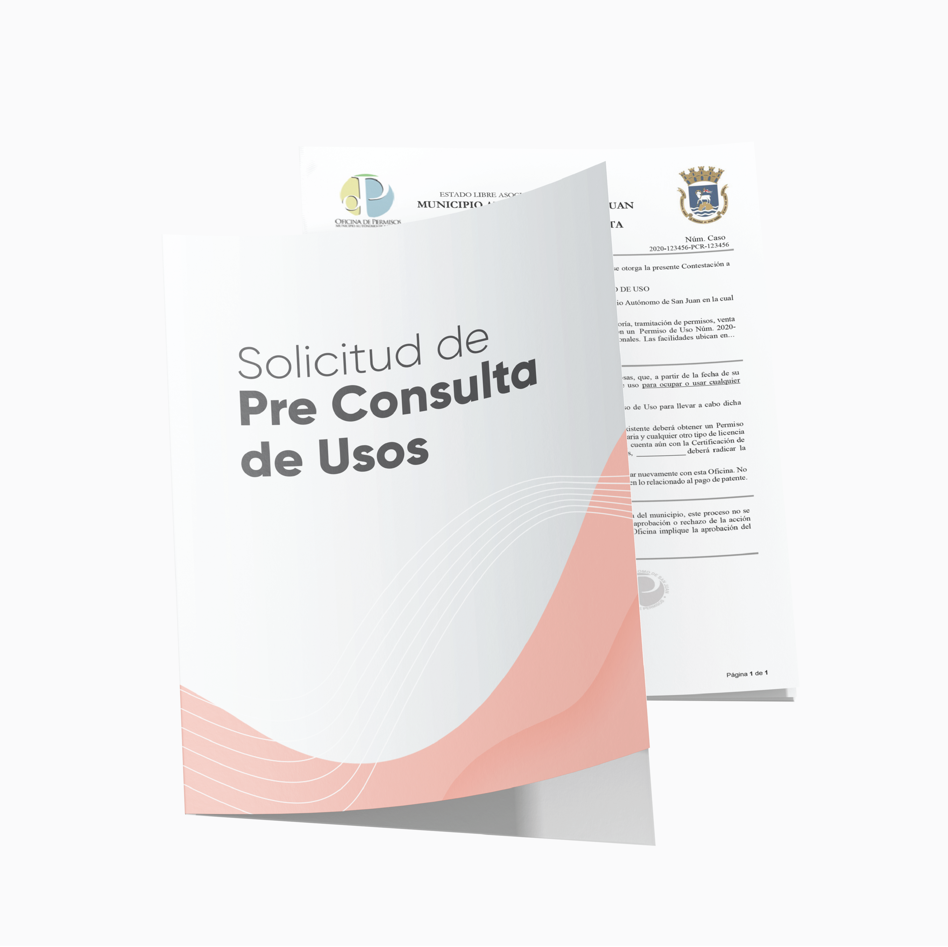 Pre Consulta de Usos