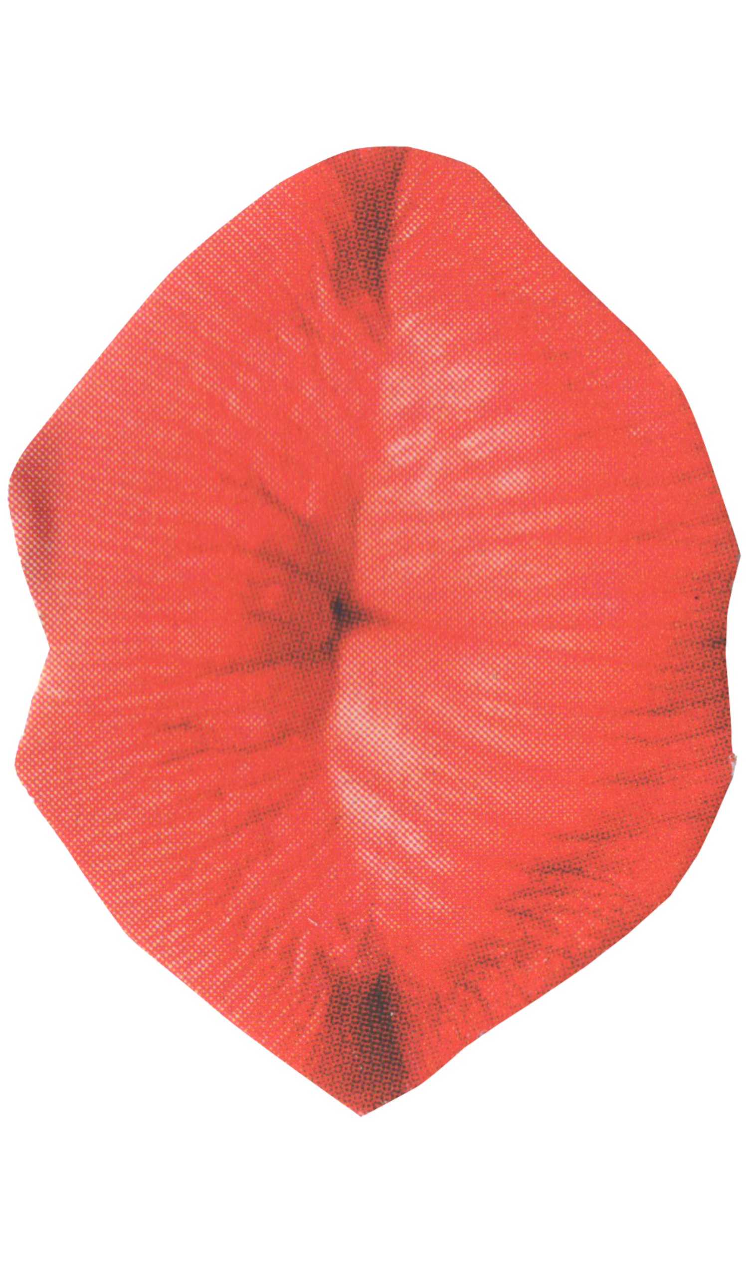 virgin-disk-showit-one-page-website-cherry-guapa-studios